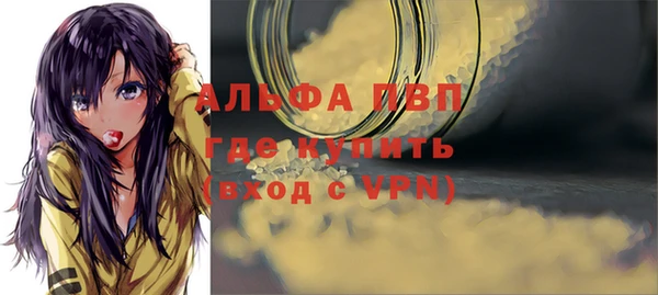 сатива Балахна