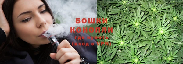 сатива Балахна