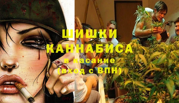 сатива Балахна